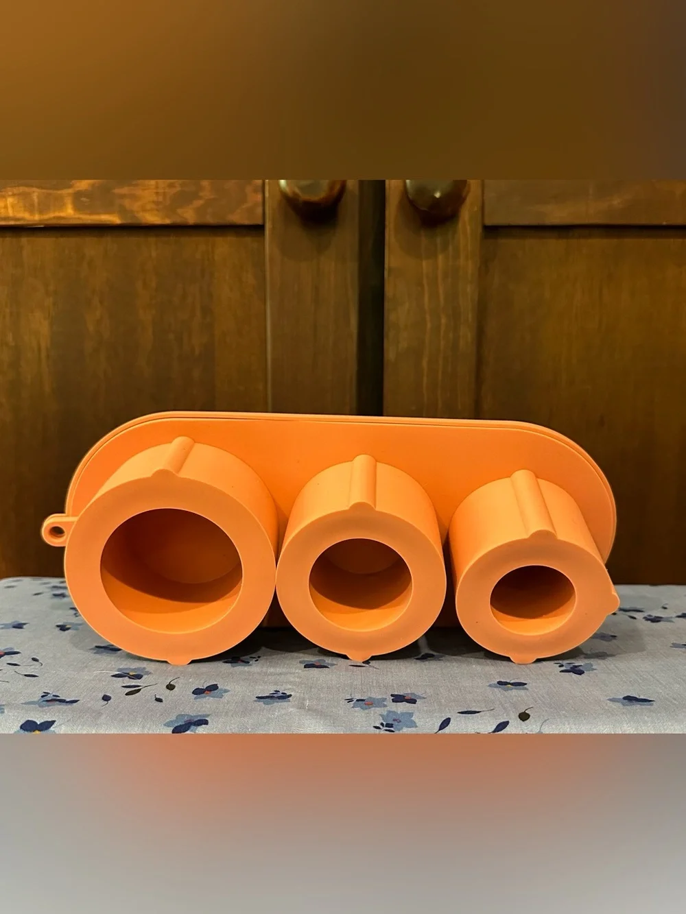 Silicone • large ice mold • lidded • new